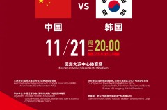 【大雨中断】荷兰vs瑞典比赛暂停，场地积水严重